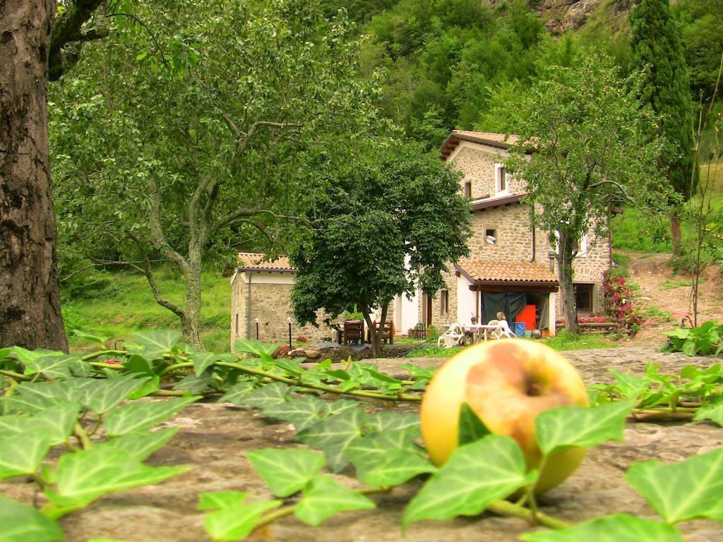 Agriturismo Di La Dall'Acqua Fivizzano Luaran gambar