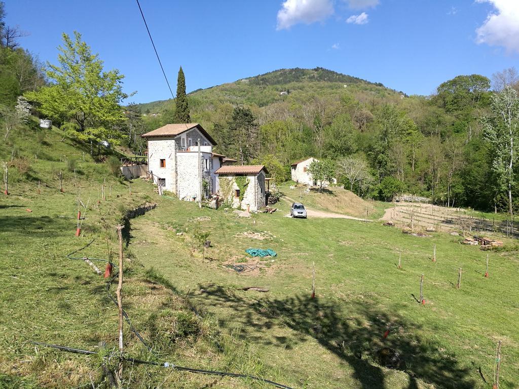 Agriturismo Di La Dall'Acqua Fivizzano Luaran gambar