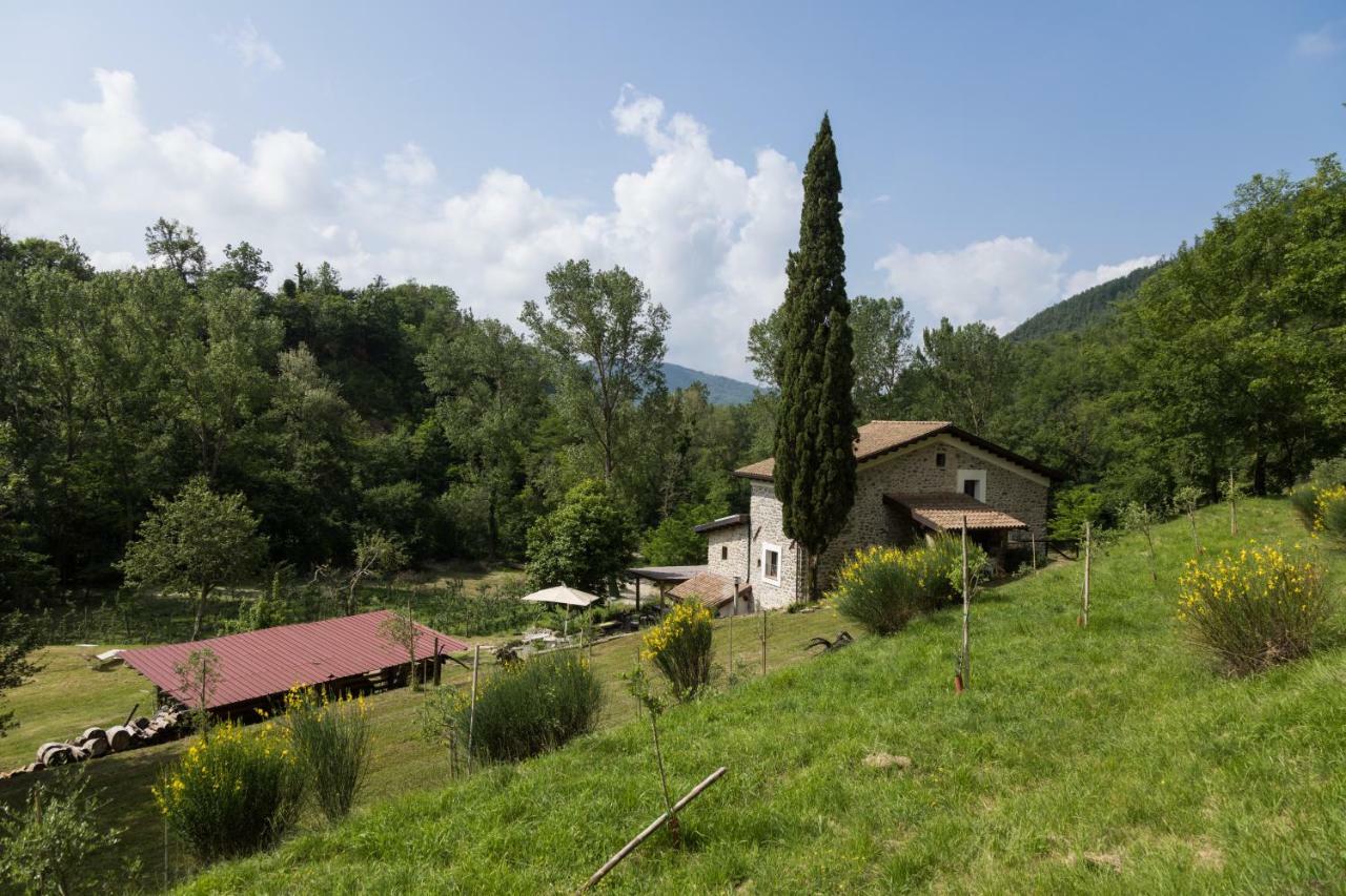 Agriturismo Di La Dall'Acqua Fivizzano Luaran gambar
