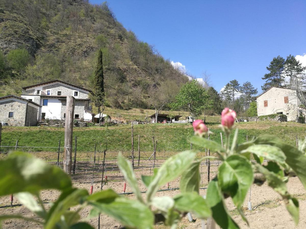 Agriturismo Di La Dall'Acqua Fivizzano Luaran gambar
